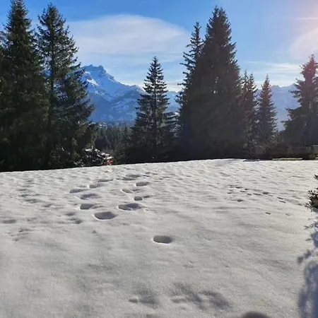 Διαμέρισμα Bel En Montagne Ollon